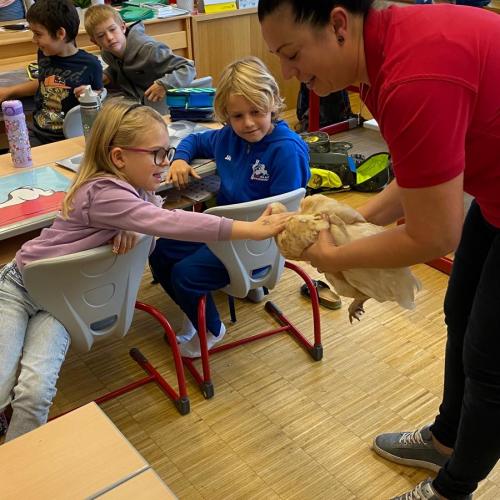 Bäuerinnen an Schule 4