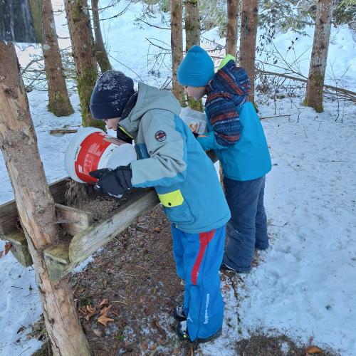 Wildfütterung 4