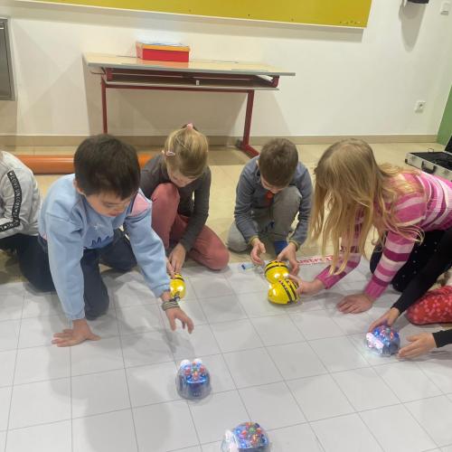 Bee Bots Bild 6