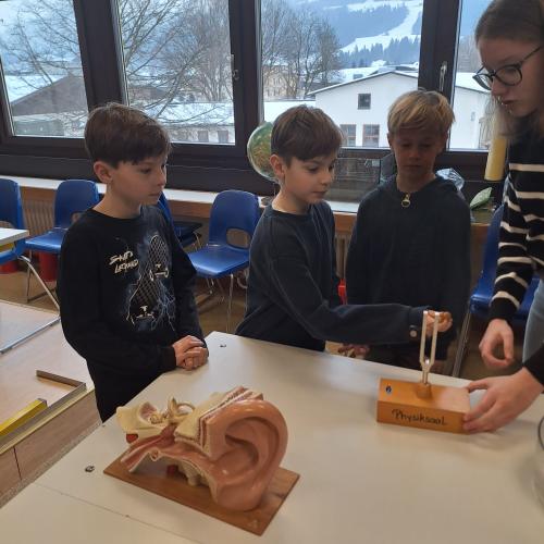 Mittelschulen 5