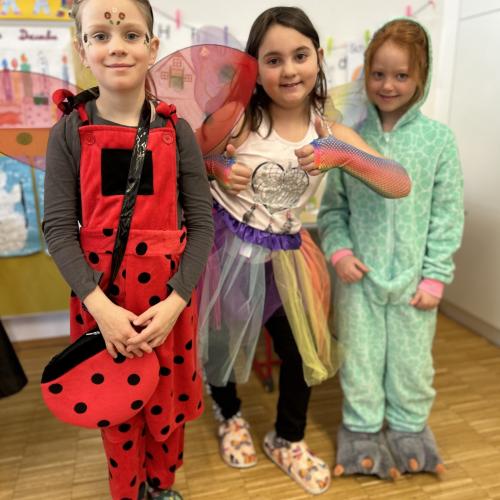 Fasching Bild 9