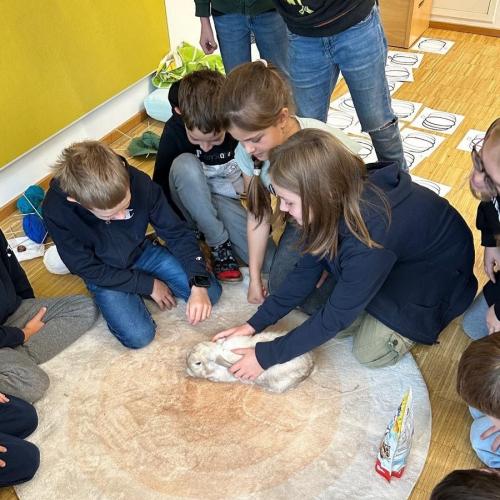 auch ein Hase war da!