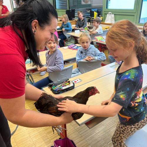 Henne in der Klasse Foto1