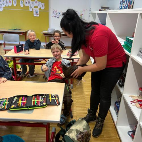 Henne in der Klasse Foto 2