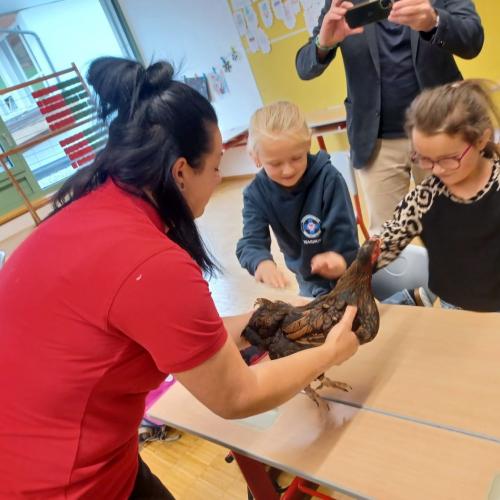 Bildergalerie Bäuerinnen in Schule Fotos in der Klasse Foto 2