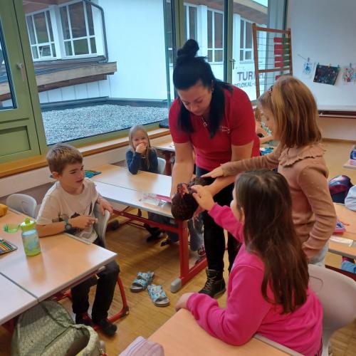 Bildergalerie Bäuerinnen in Schule Fotos in der Klasse Foto 5