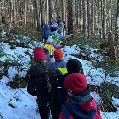 Wildfütterung Foto 2