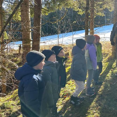 Wildfütterung Foto 1