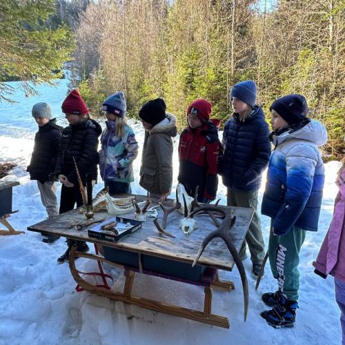 Wildfütterung Foto 3