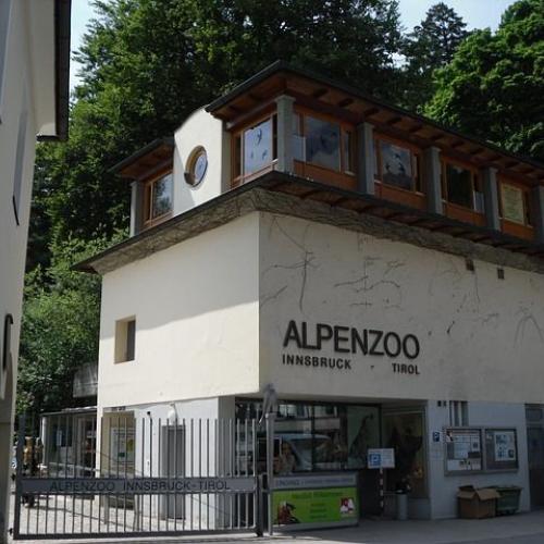 Foto Alpenzoo Innsbruck Eingang