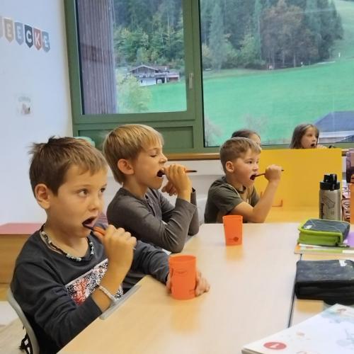 Foto 2 AVOMED Zähneputzen 1. Klasse
