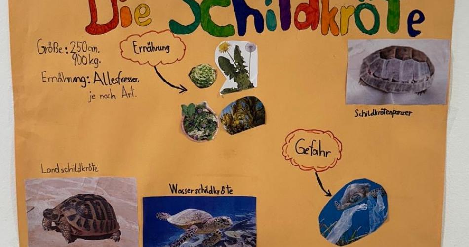 Plakat die Schildkröte