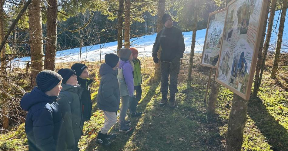 Wildfütterung Foto 1